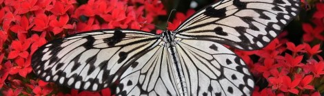 WEEKLY SPIRITUAL ENERGY- September 21, 2020 - September 27, 2020