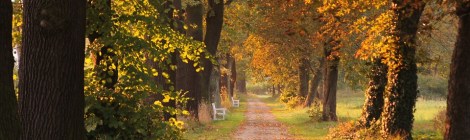 WEEKLY SPIRITUAL ENERGY- September 28, 2020 - October 4, 2020