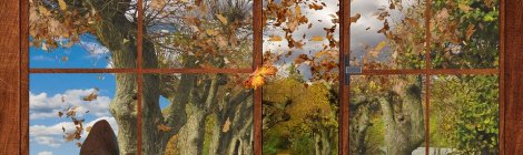 WEEKLY SPIRITUAL ENERGY- October 19, 2020 - October 25, 2020, by Lady Dyanna