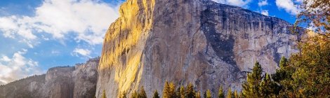 WEEKLY SPIRITUAL ENERGY- November 2, 2020 - November 8, 2020, by Lady Dyanna