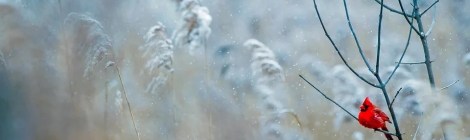 WEEKLY SPIRITUAL ENERGY- December 21, 2020 - December 27, 2020