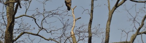 WEEKLY SPIRITUAL ENERGY- December 14, 2020 - December 20, 2020, by Lady Dyanna