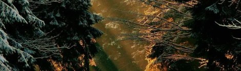 WEEKLY SPIRITUAL ENERGY- December 7, 2020 - December 14, 2020, by Lady Dyanna