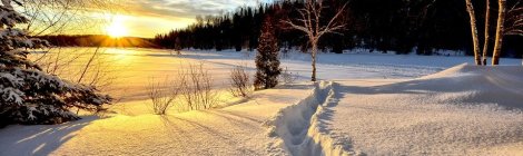 WEEKLY SPIRITUAL ENERGY- December 28, 2020 - January 3, 2020, by Lady Dyanna