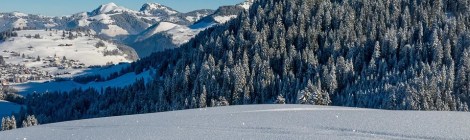 WEEKLY SPIRITUAL ENERGY- February 1, 2021 - February 7, 2021, by Lady Dyanna