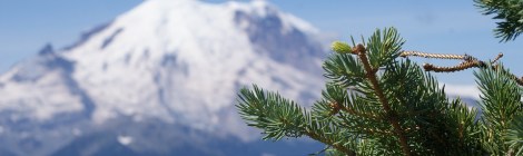 WEEKLY SPIRITUAL ENERGY- January 4, 2021 - January 10, 2021, by Lady Dyanna