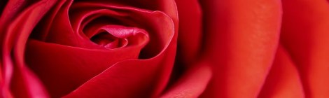 WEEKLY SPIRITUAL ENERGY- January 18, 2021 - January 24, 2021