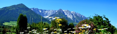 WEEKLY SPIRITUAL ENERGY- April 5, 2021 - April 11, 2021, by Lady Dyanna