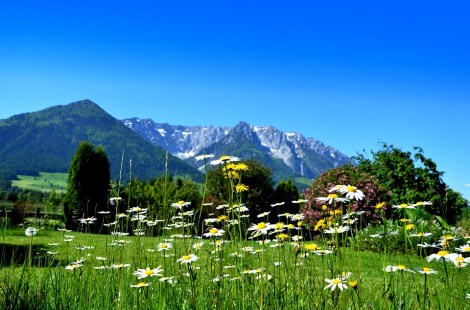 WEEKLY SPIRITUAL ENERGY- April 5, 2021 - April 11, 2021, by Lady Dyanna