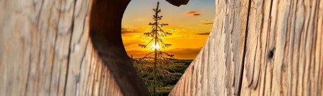 WEEKLY SPIRITUAL ENERGY- April 26, 2021 - May 2, 2021, by Lady Dyanna