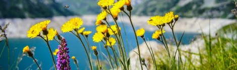 WEEKLY SPIRITUAL ENERGY- June 14, 2021 - June 20, 2021, by Lady Dyanna