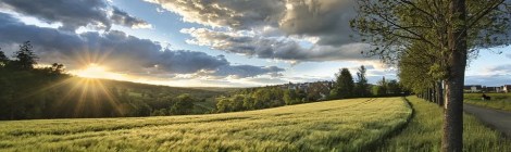 WEEKLY SPIRITUAL ENERGY- June 5, 2021 - July 11, 2021, by Lady Dyanna