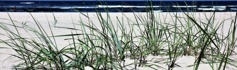 WEEKLY SPIRITUAL ENERGY- July 26, 2021 - August 1,2021