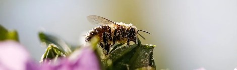 WEEKLY SPIRITUAL ENERGY- August 23, 2021 - August 29, 2021, by Lady Dyanna