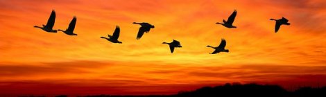 WEEKLY SPIRITUAL ENERGY- August 30, 2021 - September 5, 2021, by Lady Dyanna