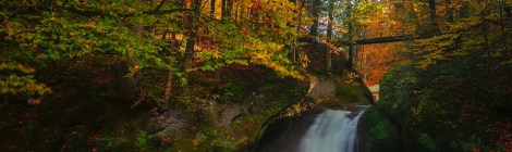 WEEKLY SPIRITUAL ENERGY- September 13, 2021 - September 19, 2021, by Lady Dyanna