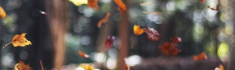 WEEKLY SPIRITUAL ENERGY- September 27, 2021 - October 3, 2021, by Lady Dyanna