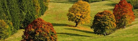 WEEKLY SPIRITUAL ENERGY- October 4, 2021 - October 10, 2021, by Lady Dyanna