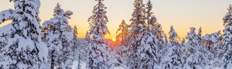 WEEKLY SPIRITUAL ENERGY- November 29, 2021 - December 5, 2021, by Lady Dyanna