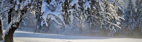 WEEKLY SPIRITUAL ENERGY-December 27, 2021 - January 2, 2022, by Lady Dyanna