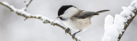 WEEKLY SPIRITUAL ENERGY-December 20, 2021 - December 26, 2021, by Lady Dyanna