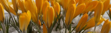 WEEKLY SPIRITUAL ENERGY-January 31 2022 - February 6, 2022, by Lady Dyanna