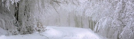 WEEKLY SPIRITUAL ENERGY-January 3, 2022 - January 9, 2022, by Lady Dyanna