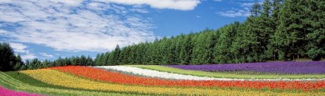 WEEKLY SPIRITUAL ENERGY- February 28, 2022 - March 6, 2022