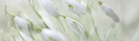 WEEKLY SPIRITUAL ENERGY-February 14, 2022 - February 20, 2022, by Lady Dyanna