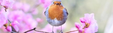 WEEKLY SPIRITUAL ENERGY-March 14, 2022 - March 20, 2022, by Lady Dyanna