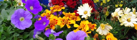 WEEKLY SPIRITUAL ENERGY-March 7, 2022 - March 13, 2022, by Lady Dyanna