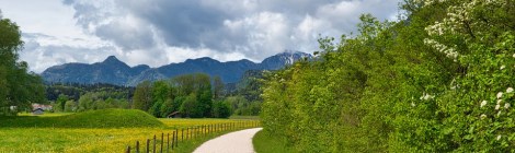 WEEKLY SPIRITUAL ENERGY-March 28, 2022 - April 3, 2022, by Lady Dyanna