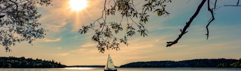 WEEKLY SPIRITUAL ENERGY-April 11, 2022 - April 17, 2022, by Lady Dyanna