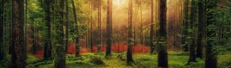 WEEKLY SPIRITUAL ENERGY-May 2, 2022 - May 8, 2022, by Lady Dyanna