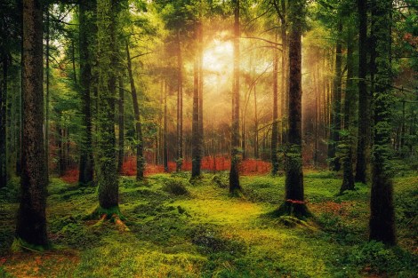 WEEKLY SPIRITUAL ENERGY-May 2, 2022 - May 8, 2022, by Lady Dyanna