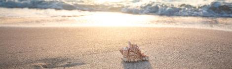 WEEKLY SPIRITUAL ENERGY-May 30, 2022 - June 5, 2022, by Lady Dyanna