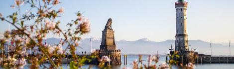 WEEKLY SPIRITUAL ENERGY-May 9, 2022 - May 15, 2022, by Lady Dyanna