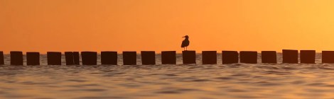 WEEKLY SPIRITUAL ENERGY-June 13, 2022 - June 19, 2022, by Lady Dyanna