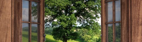 WEEKLY SPIRITUAL ENERGY-June 27, 2022 - July 3, 2022, by Lady Dyanna