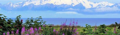 WEEKLY SPIRITUAL ENERGY-July 18, 2022 - July 24, 2022, by Lady Dyanna