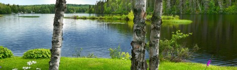 WEEKLY SPIRITUAL ENERGY-July 25, 2022 - July 31, 2022, by Lady Dyanna