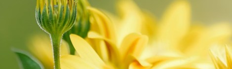 WEEKLY SPIRITUAL ENERGY-August 8, 2022 - August 14, 2022, by Lady Dyanna