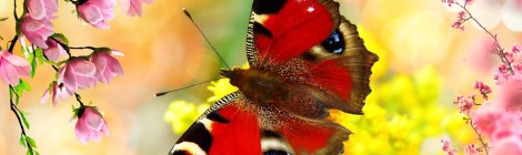 WEEKLY SPIRITUAL ENERGY-August 29, 2022 - September 4, 2022, by Lady Dyanna