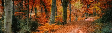 WEEKLY SPIRITUAL ENERGY-September 26, 2022 - October 2, 2022, by Lady Dyanna