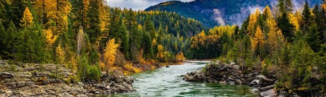 WEEKLY SPIRITUAL ENERGY- October 17, 2022 - October 23, 2022, by Lady Dyanna