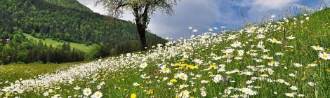 WEEKLY SPIRITUAL ENERGY- March 20, 2023 - March 26, 2023, by Lady Dyanna