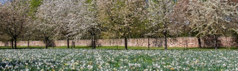 WEEKLY SPIRITUAL ENERGY- March 27, 2023 - April 2, 2023, by Lady Dyanna