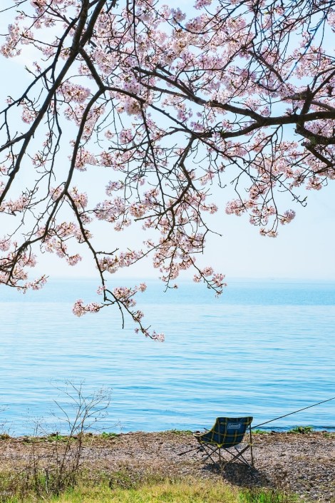 WEEKLY SPIRITUAL ENERGY- April 10, 2023 - April 16, 2023, by Lady Dyanna