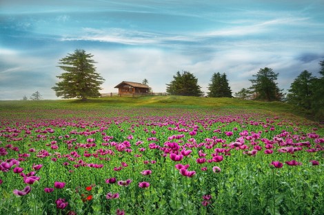 WEEKLY SPIRITUAL ENERGY-May 1, 2023 - May 7, 2023, by Lady Dyanna