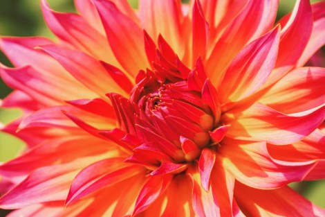 WEEKLY SPIRITUAL ENERGY-May 8, 2023 - May 14, 2023, by Lady Dyanna